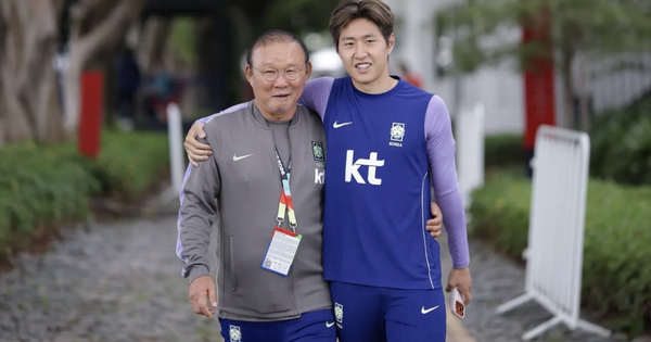 Nóng: Trưởng đoàn Hàn Quốc Park Hang-seo xin lỗi người hâm mộ sau World Cup 2026 - hình ảnh - 78winapp.vip
