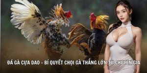 đá gà cựa dao 78wincomnet